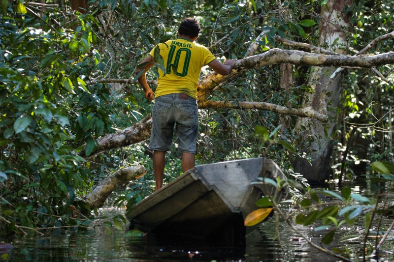 Amazon Rainforest, Brazil